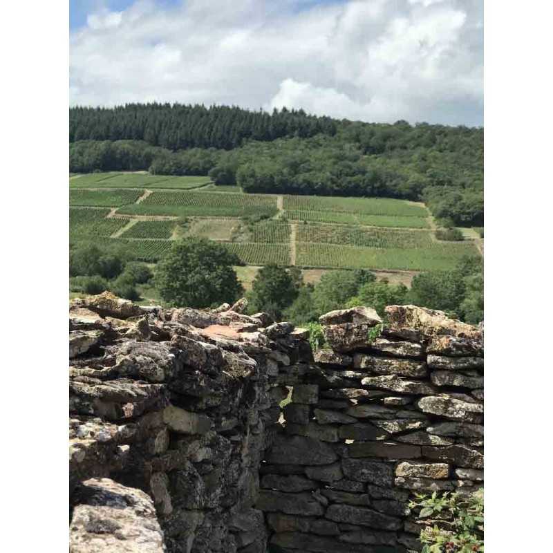 Vin Bourgogne Mâcon Villages Blanc - Terres Secrètes 75cl