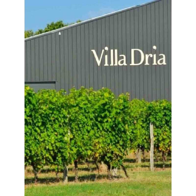Vin Blanc Gasgogne-Lune de Miel- Villa Dria 75cl