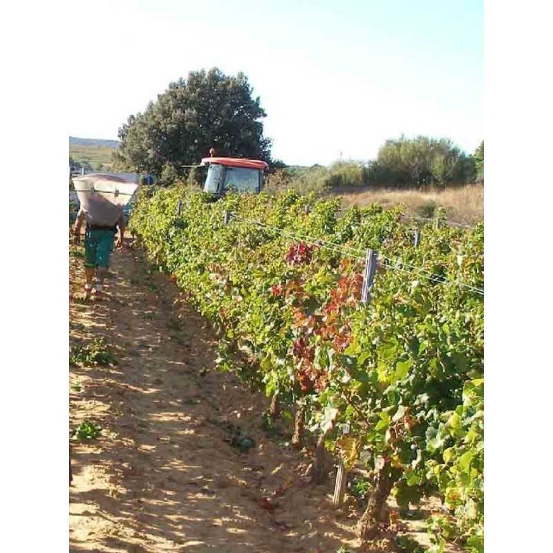 Vin rouge Corbières Cuvée Aurélien - Domaine de Longueroche 75cl