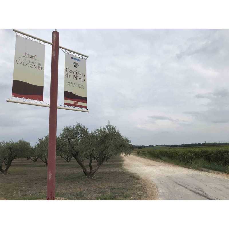 Vin blanc moelleux Folle & Douce - Château de Valcombe