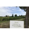 Vin blanc Roussanne Maxime & Raphael  -Château de Valcombe