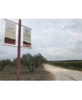 Vin blanc AOP Costières de Nîmes Les Sentiers de Septembre - Château de Valcombe