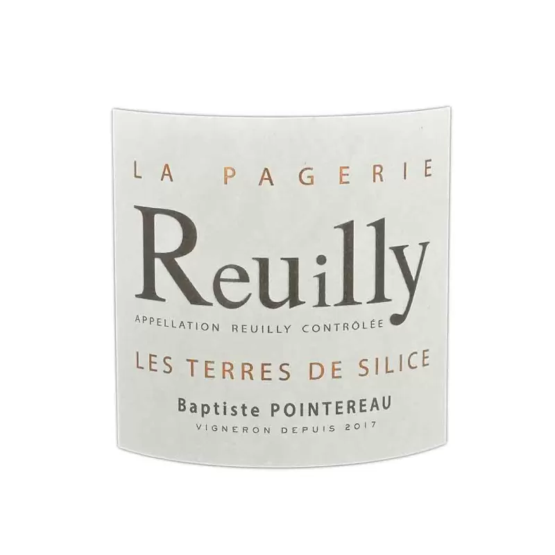 Reuilly blanc Les Terres de Silice Domaine  de la Pagerie à prix mini.