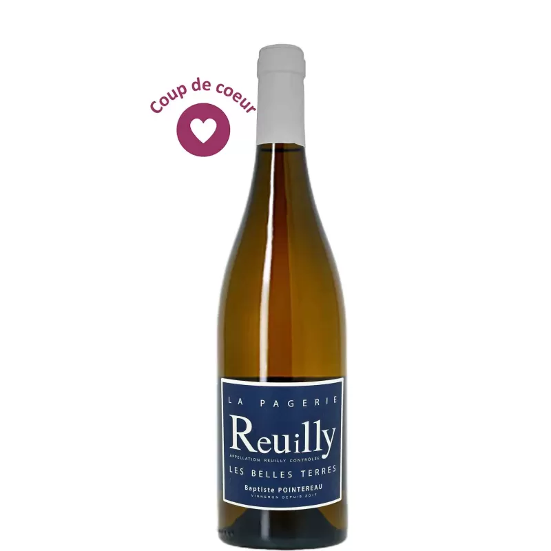 Reuilly Bio - Les Belles Terres - Domaine  de la Pagerie - Baptiste Pointereau