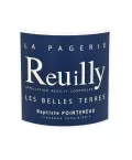 Reuilly blanc bio Les Belles Terres Domaine  de la Pagerie à prix mini