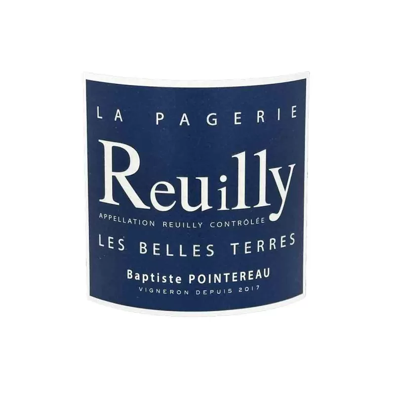 Reuilly blanc bio Les Belles Terres Domaine  de la Pagerie à prix mini