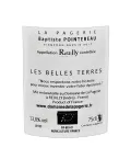 Reuilly blanc bio Les Belles Terres Domaine  de la Pagerie à prix mini