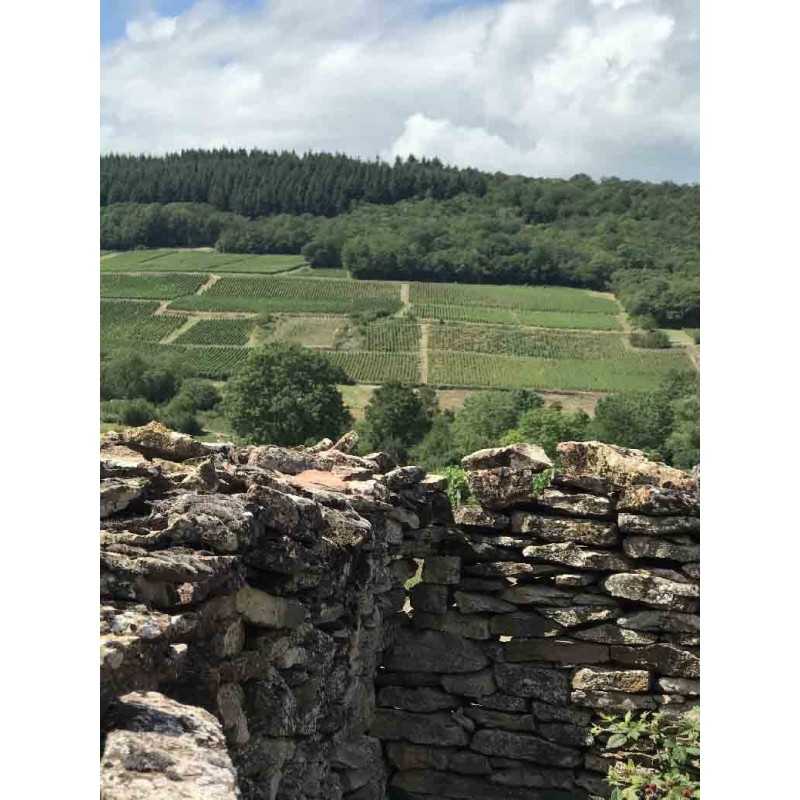 Vin blanc Bourgogne Saint-Véran - Terres Secrètes 75cl