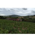 Vin rouge Beaujolais Chiroubles - Les Chanteranes- Pardon & Fils 75cl